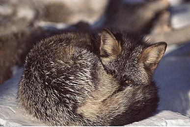 《异度神剑3》“战斗连段”演示公布 7月29日发售