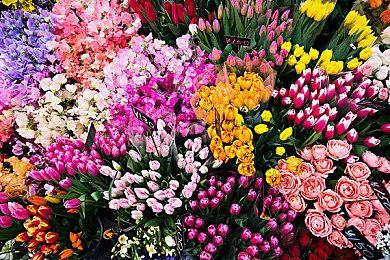 绊爱主题音游《绊爱-触摸节拍VR》推迟至5＆25发行